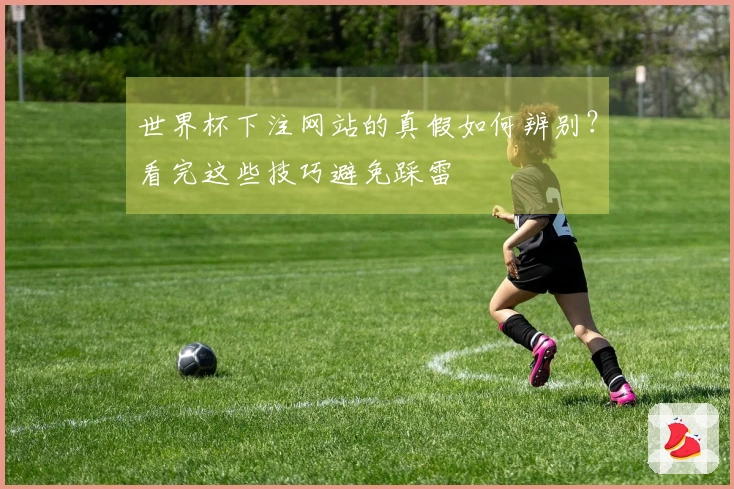世界杯下注网站的真假如何辨别？看完这些技巧避免踩雷